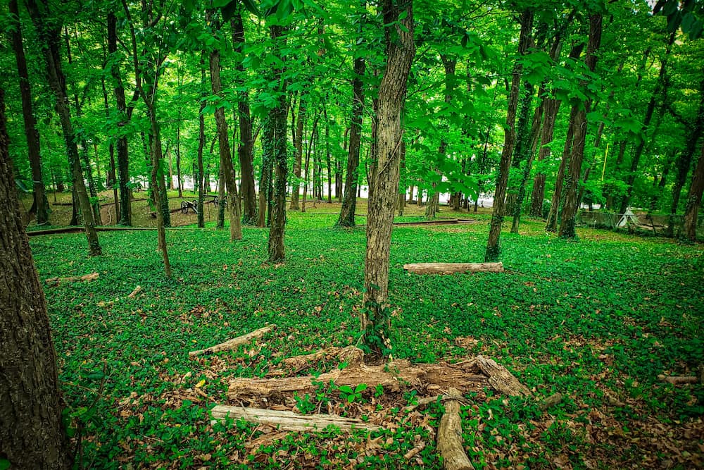 Shy's Hill Civil War Battlefield from the Battle of Nashville, Tennessee